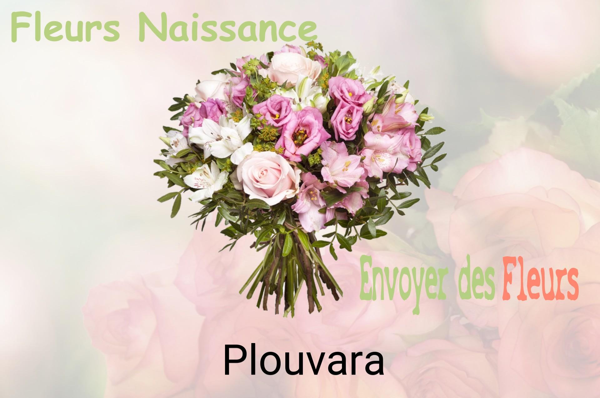 Bouquet de fleurs de naissance livré à Plouvara