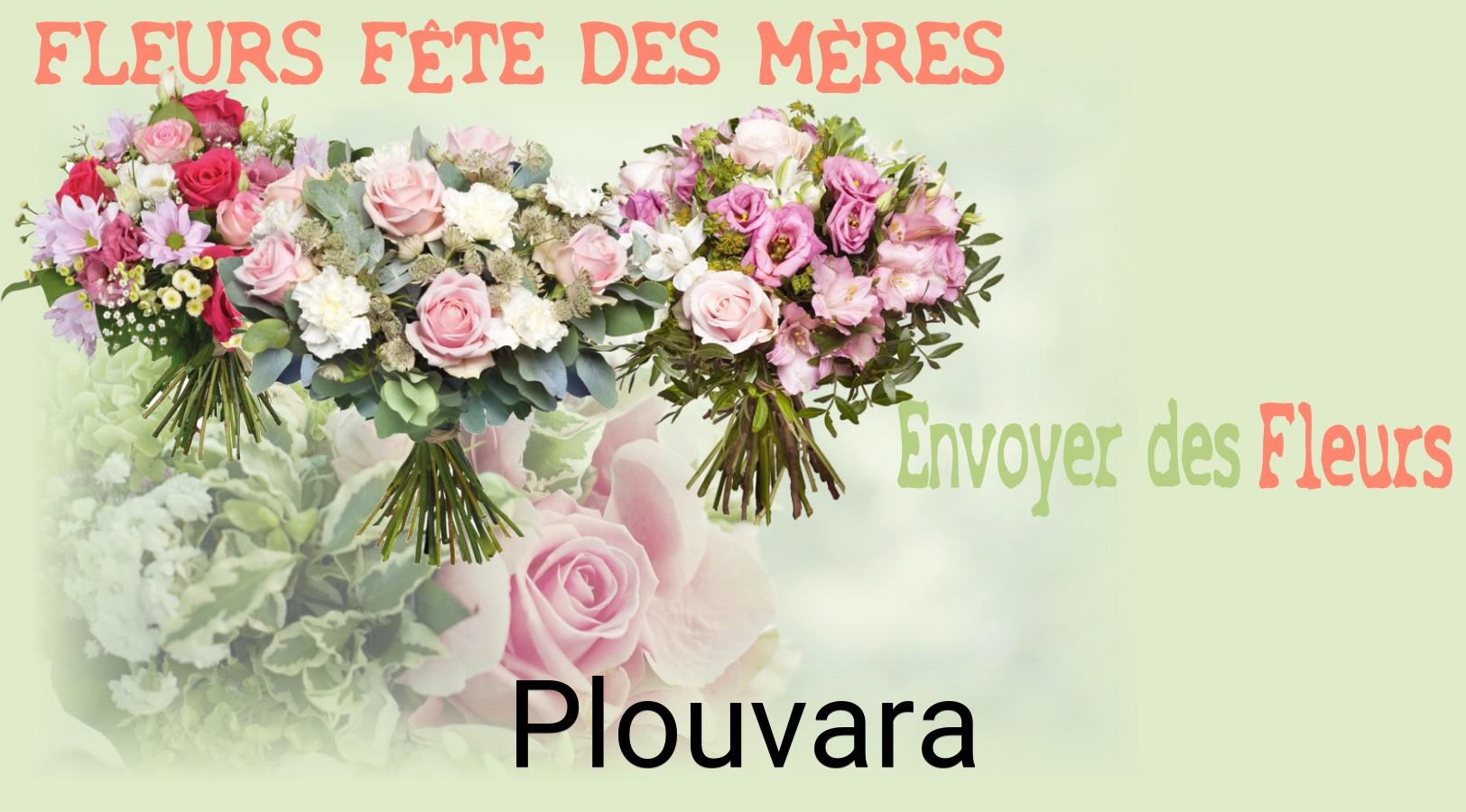 Bouquet de Fête des Mères livré à Plouvara